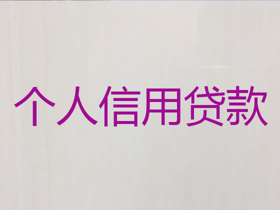 遂宁信用贷款-本地贷款公司